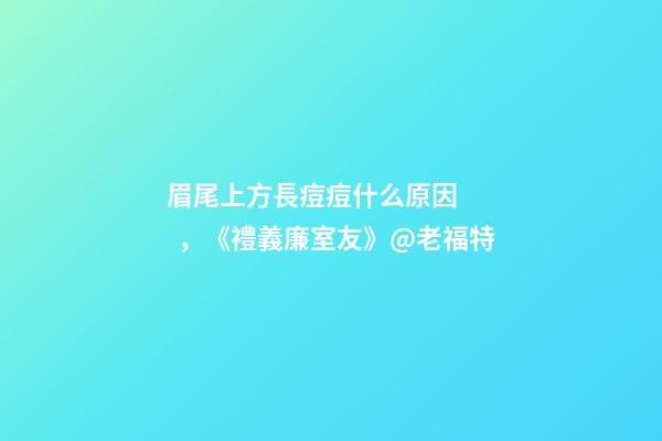 眉尾上方長痘痘什么原因，《禮義廉室友》@老福特-第1張-觀點-玄機派